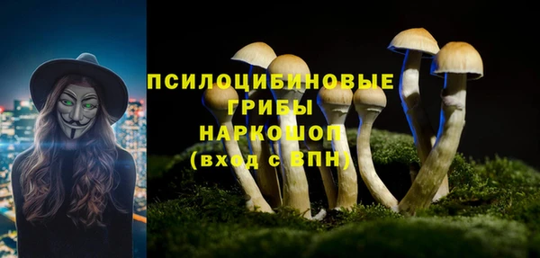 гидропоника Абаза