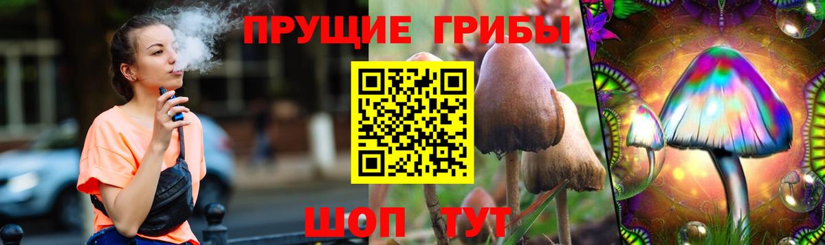Сарапул  Псилоцибиновые грибы мицелий  Вход с VPN 