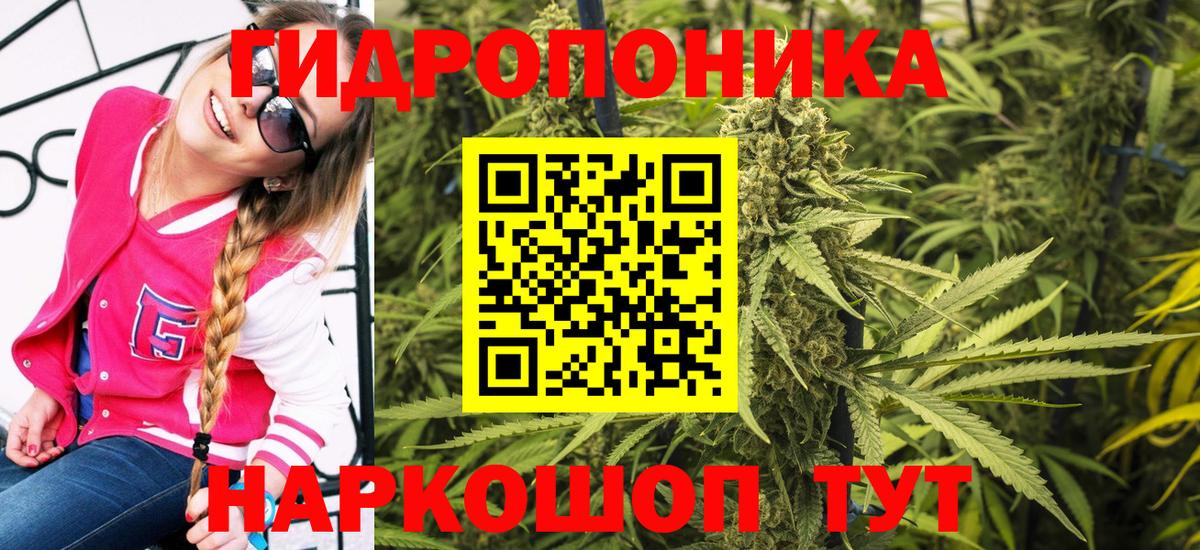Бошки Шишки план  Бошки марихуана THC 21%  МАРИХУАНА план  Вход с VPN  Сарапул 